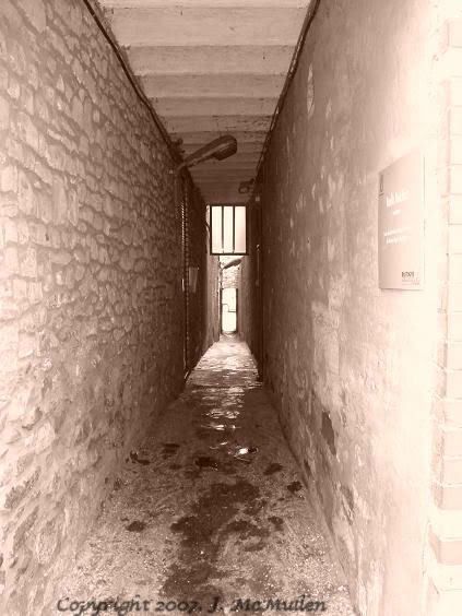 IMAGE: http://i117.photobucket.com/albums/o41/tank122803/DSC01614.jpg