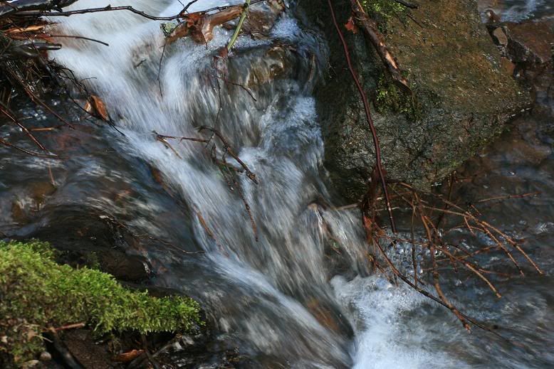 IMAGE: http://i117.photobucket.com/albums/o41/tank122803/IMG_0973.jpg