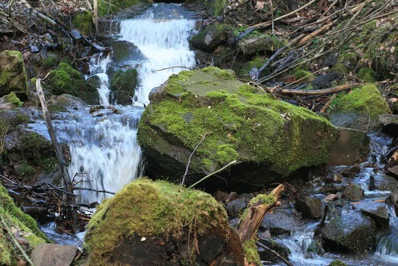 IMAGE: http://i117.photobucket.com/albums/o41/tank122803/IMG_0977.jpg