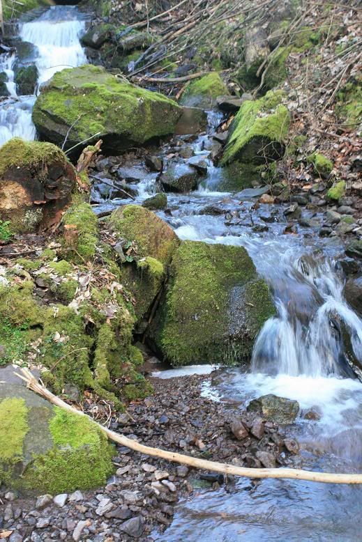 IMAGE: http://i117.photobucket.com/albums/o41/tank122803/IMG_0979.jpg