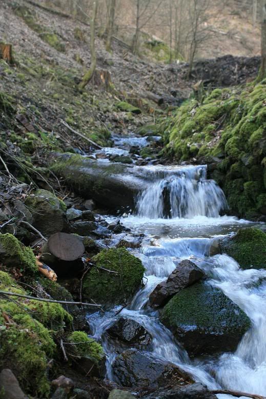 IMAGE: http://i117.photobucket.com/albums/o41/tank122803/IMG_0991.jpg