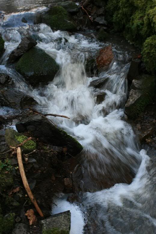 IMAGE: http://i117.photobucket.com/albums/o41/tank122803/IMG_0994.jpg