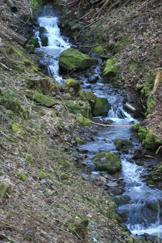 IMAGE: http://i117.photobucket.com/albums/o41/tank122803/IMG_1000.jpg