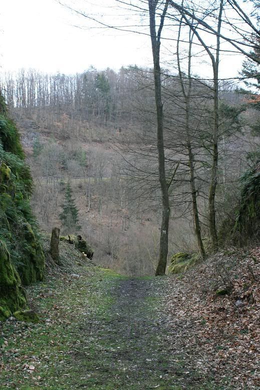 IMAGE: http://i117.photobucket.com/albums/o41/tank122803/IMG_1112.jpg