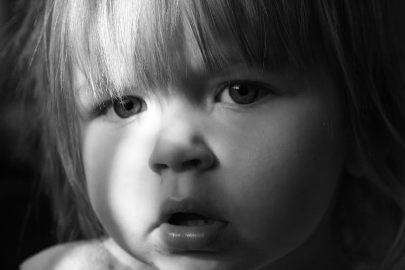 IMAGE: http://i117.photobucket.com/albums/o41/tank122803/IMG_3674.jpg