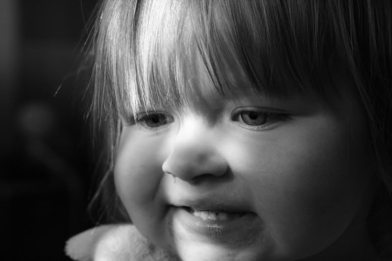 IMAGE: http://i117.photobucket.com/albums/o41/tank122803/IMG_3675.jpg