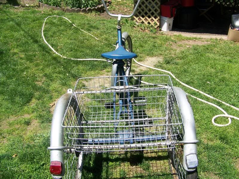 white schwinn adult tricycle