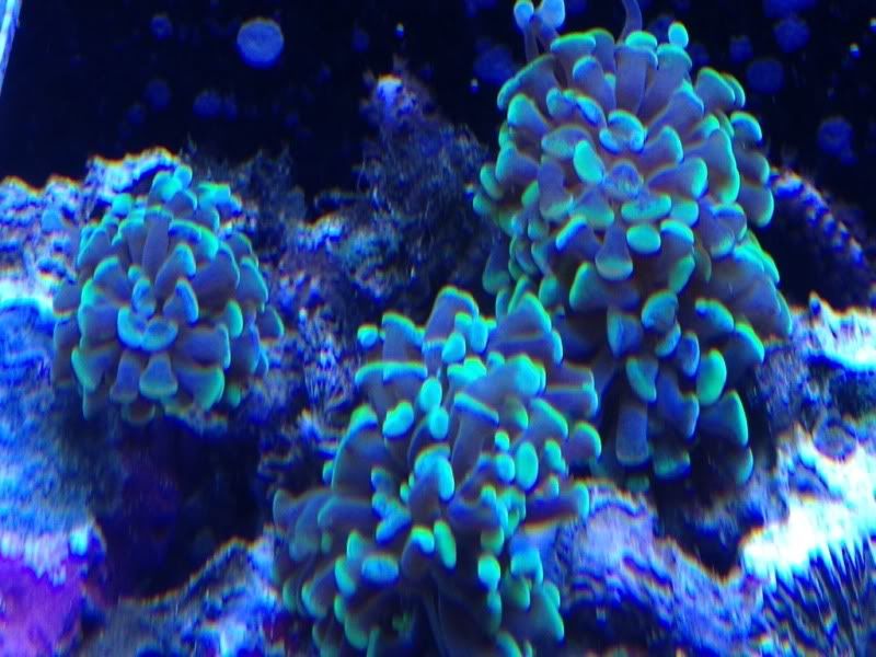 d38b8a1c.jpg