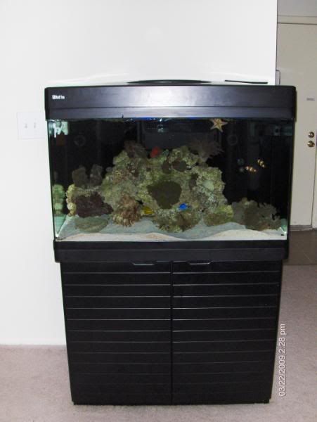 fishtank093.jpg