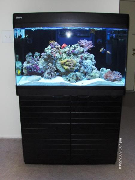 fishtank094.jpg