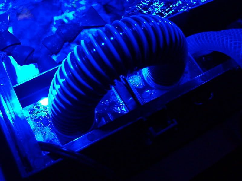 PB290006.jpg