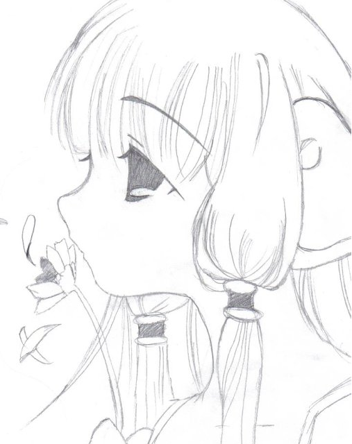 picture