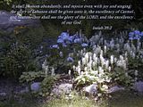 ExcellencyandgloryoftheLord.jpg image by cindysarcady
