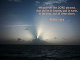 Whatsoever-1.jpg image by cindysarcady