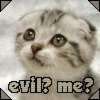 meevil.jpg