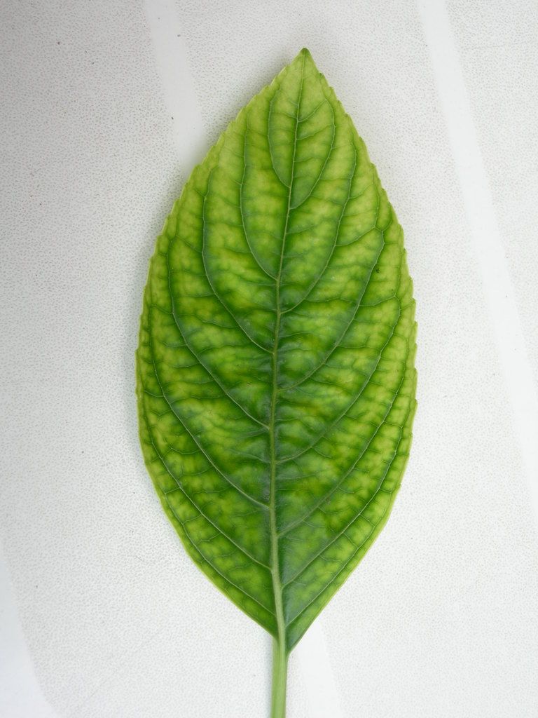 DSCN6556_zpsrktmtn2x.jpg