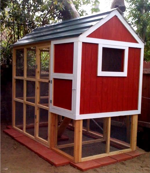 The Sneddon Family: Chicken Coops For Sale In San Diego