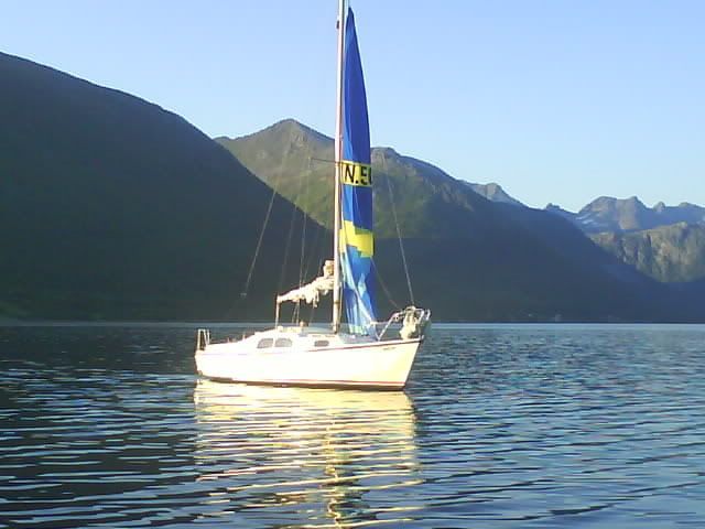 DSC00194.jpg