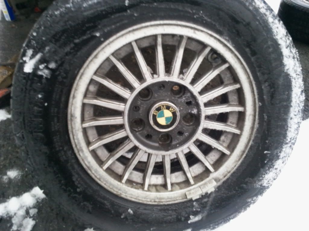2011-03-31191323.jpg