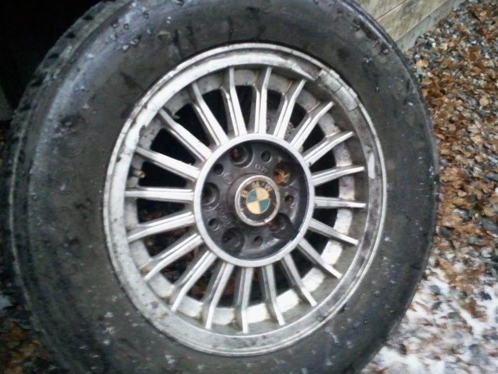 2011-03-31192513.jpg