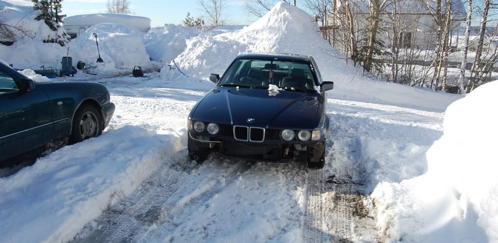 DSC_0411.jpg