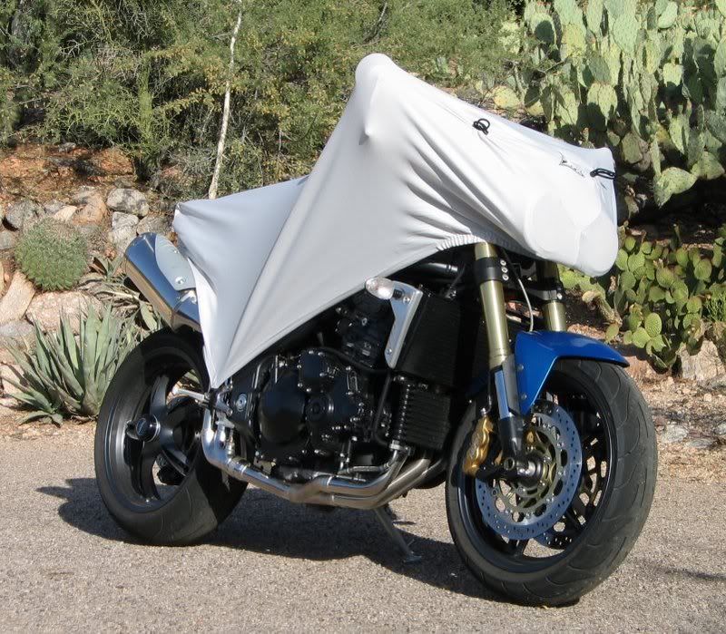 Geza Gear Cover Triumph Rat Motorcycle Forums