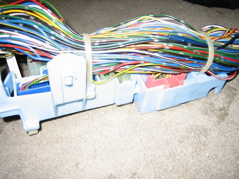 SI wire harness photos whanted! - Honda Prelude Forum : Honda Prelude