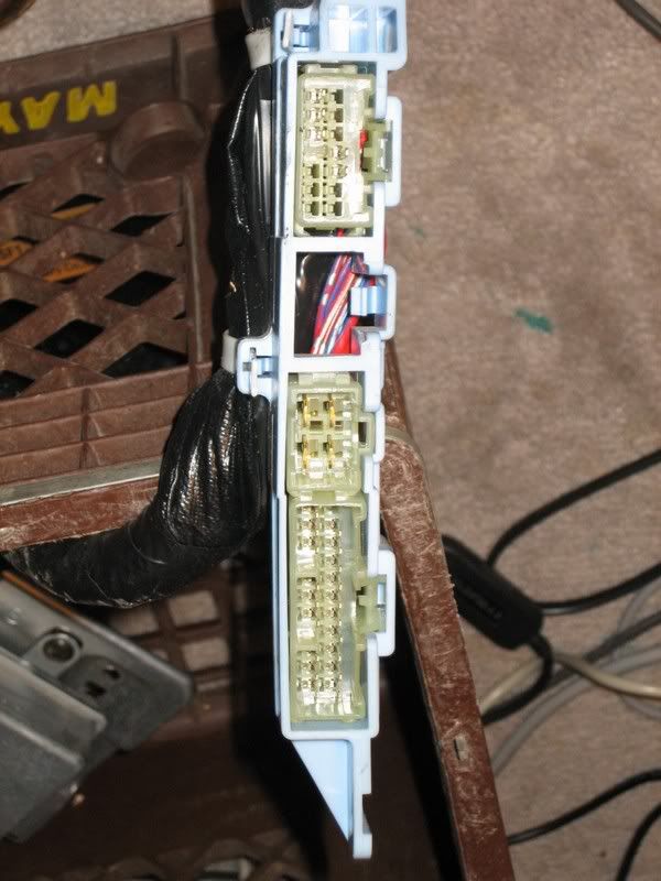 SI wire harness photos whanted! - Honda Prelude Forum : Honda Prelude