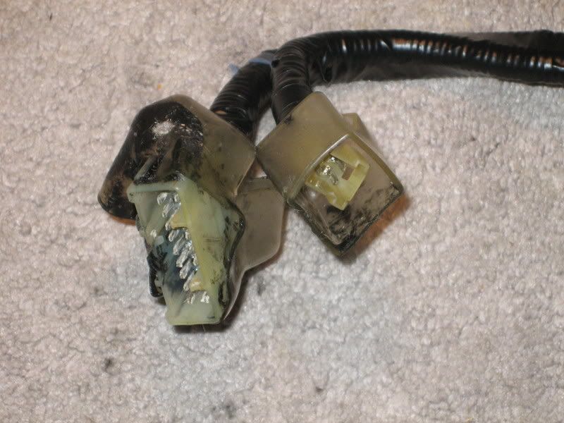 SI wire harness photos whanted! - Honda Prelude Forum : Honda Prelude