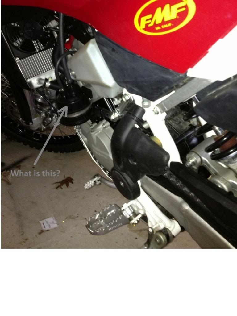 WhatisthisonmyTE449_zps7e055ba9.jpg