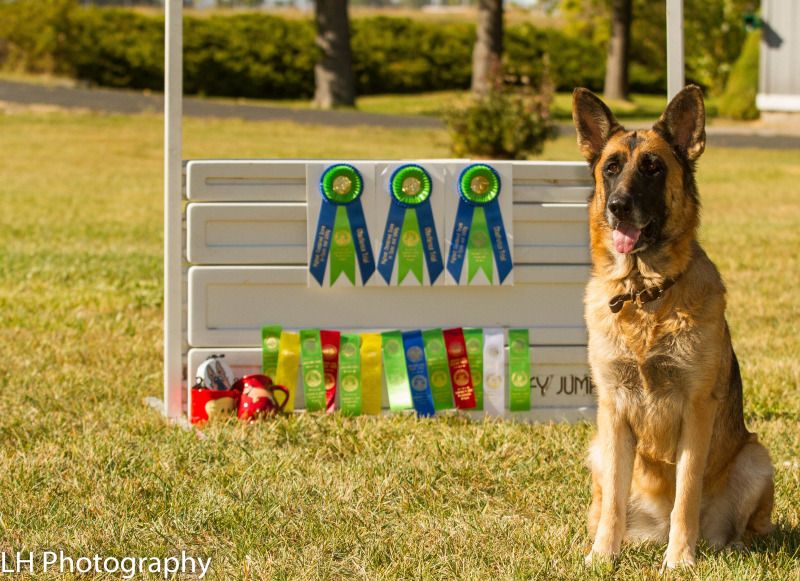 IMAGE: http://i117.photobucket.com/albums/o55/LHeyden/Glory%20In%20Her%20Glory/Landscape.jpg