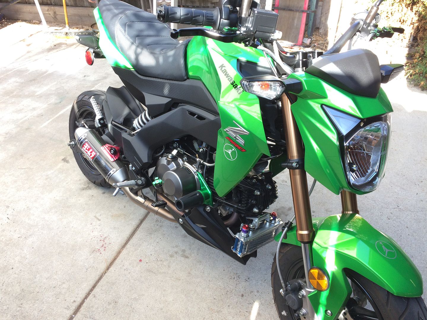 Frame Slider Photos Kawasaki Z125 Forum