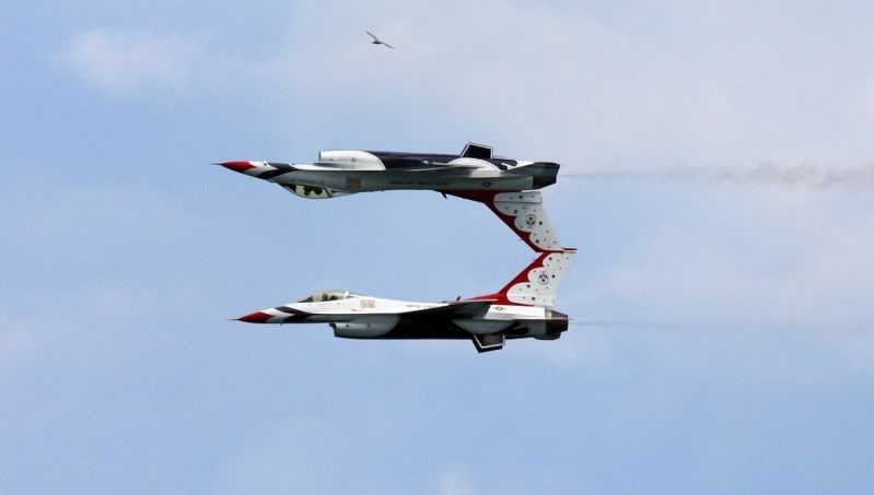X8402396-7.jpg