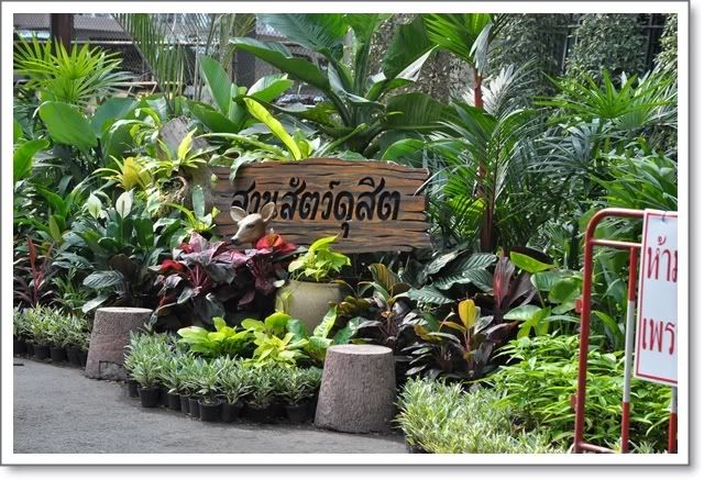 555 ไปสวนสัตว์เขาดินอีกแล้วครับ