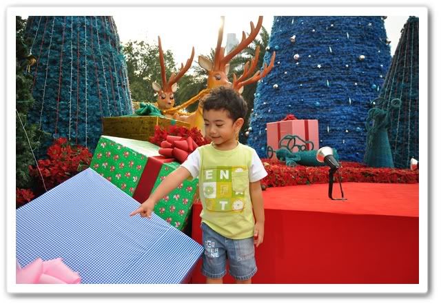 ลูกปุณกับต้นคริสมาสที่ตึก Q House ลุมพินีครับ