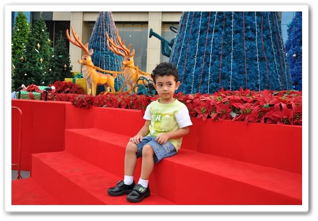 ลูกปุณกับต้นคริสมาสที่ตึก Q House ลุมพินีครับ