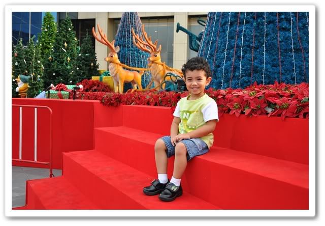 ลูกปุณกับต้นคริสมาสที่ตึก Q House ลุมพินีครับ