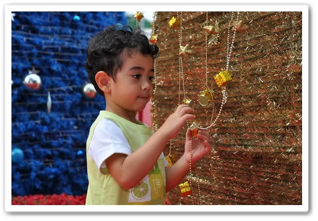 ลูกปุณกับต้นคริสมาสที่ตึก Q House ลุมพินีครับ