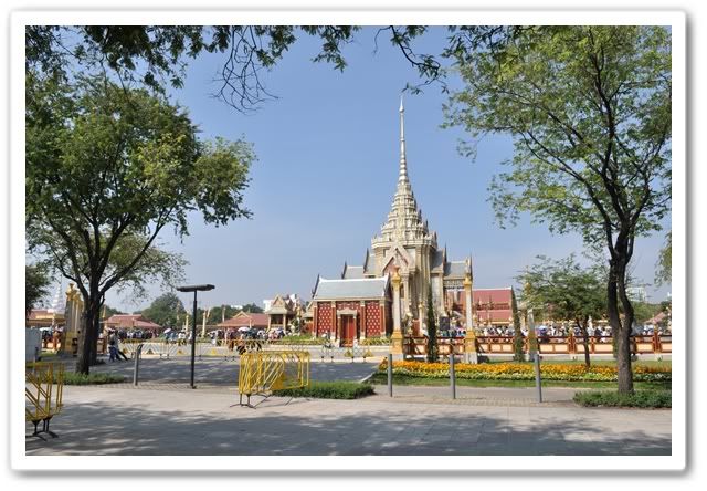 ลูกปุณไปดูนกนางนวลที่บางปูครับ
