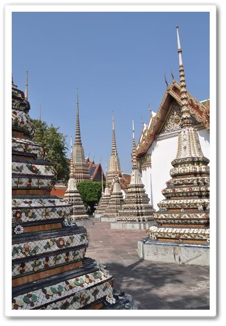 ลูกปุณไปดูนกนางนวลที่บางปูครับ