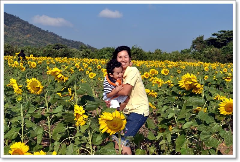 ลูกปุณไปดูบอลลูนที่ปากช่องครับ