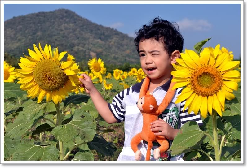 ลูกปุณไปดูบอลลูนที่ปากช่องครับ