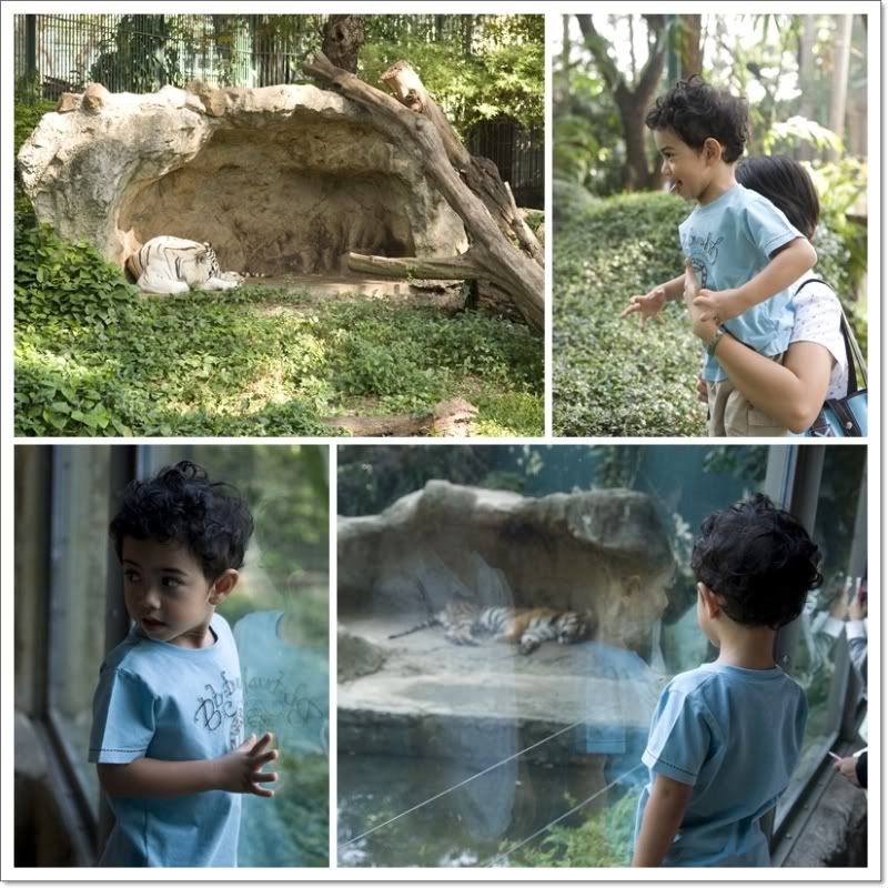 ปุณไปสวนสัตว์เขาดินครับ