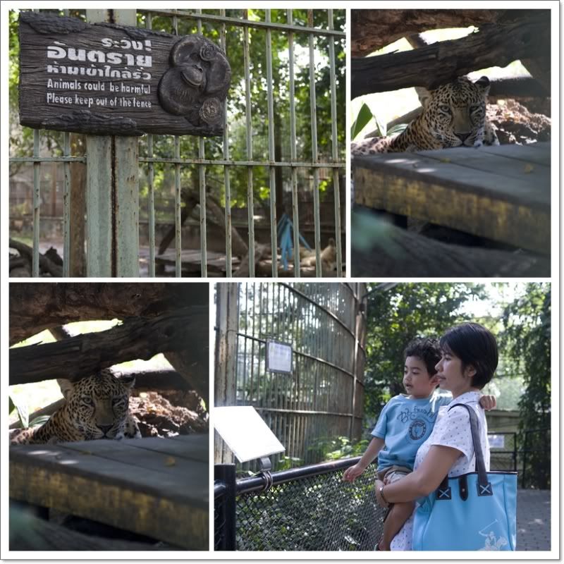 ปุณไปสวนสัตว์เขาดินครับ