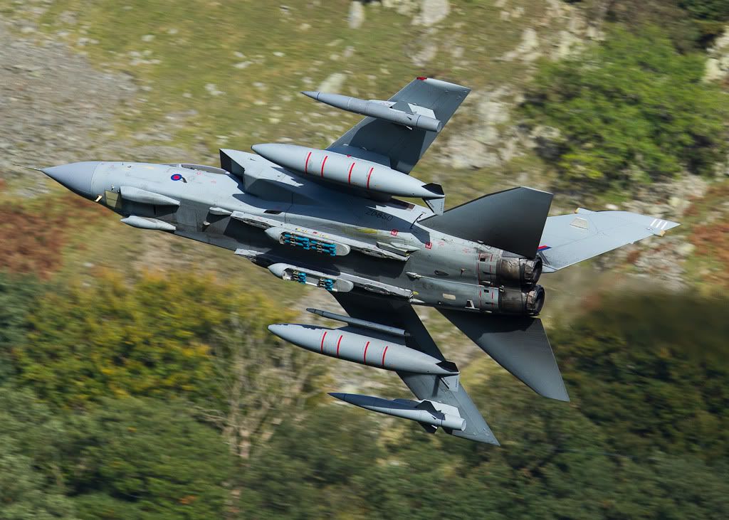 IMAGE: http://i117.photobucket.com/albums/o58/john_e_photos/IMG_5623-1.jpg