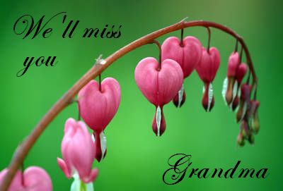 Funny   Cartoons on Miss You Grandma Graphics Code   Miss You Grandma Comments   Pictures