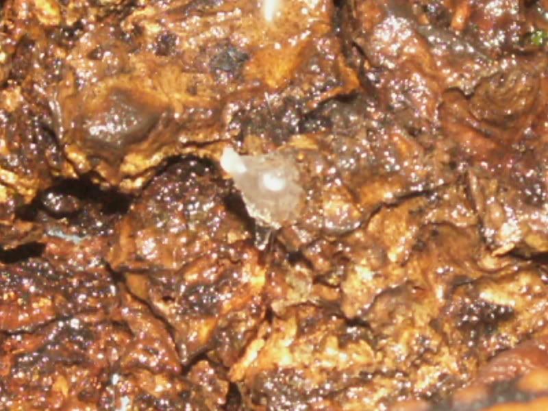 Picture215.jpg