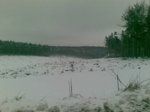 05022009005.jpg