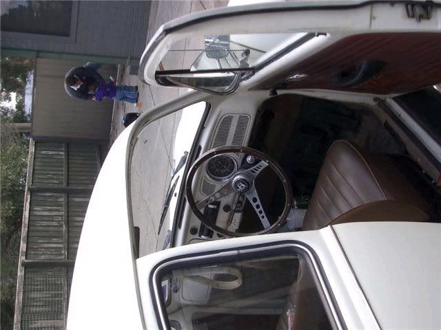 http://i117.photobucket.com/albums/o60/mangovandango60/beetle4.jpg
