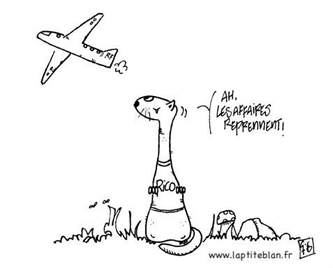 prostituée masculin